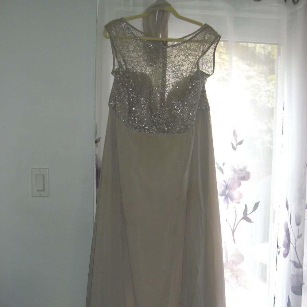 Dessy Collection Vivian Diamond Gown & Scarf